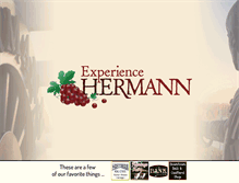 Tablet Screenshot of experiencehermann.com